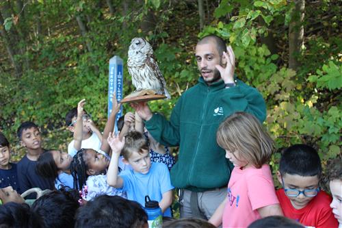 Man holding owl